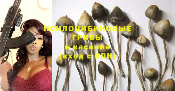 индика Баксан