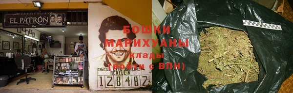индика Баксан
