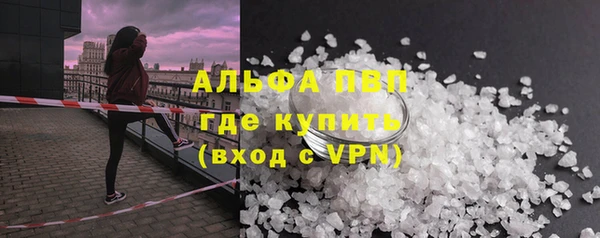 индика Баксан