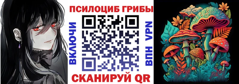Псилоцибиновые грибы Psilocybine cubensis  Ленск 